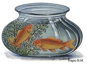 Abb. 3: Fish Bowl, style "S" -- s-bowl_col.gif (57 kB)