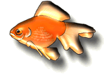 Deko: Goldfisch (Schleierschwanz)