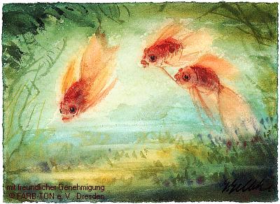 Goldfisch: Schleierschwänze; Aquarell von Georg GELBKE (1892-1947)